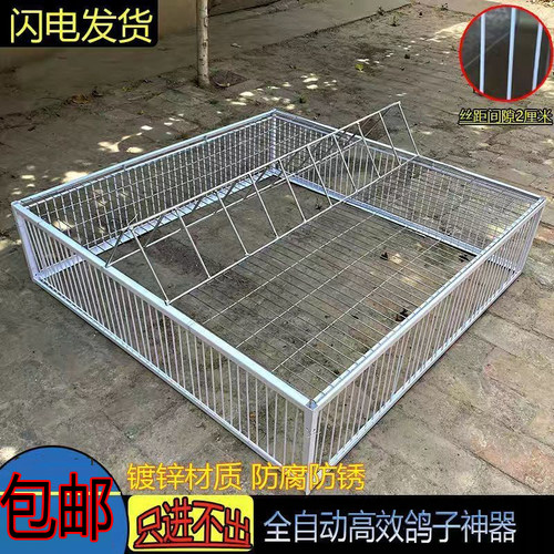 信鸽天落笼加密只进不出鸽子笼户外鸽子笼全自动收鸽笼鸟笼包邮 - 图2