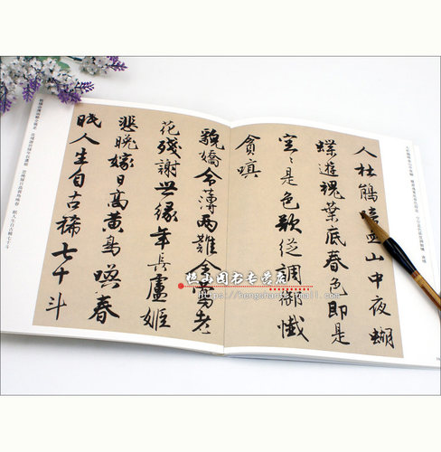 唐寅书落花诗册 传世经典书法碑帖59  河北教育出版社  毛笔字帖 临摹范本 全文简体注释 正版书籍 - 图1