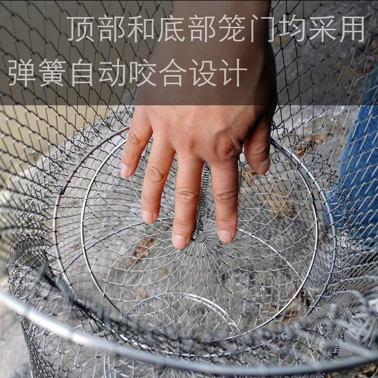 钢丝鱼护防挂鱼篓折叠便携网兜海钓昂刺鱼溪流路亚不锈钢金属渔护 - 图2