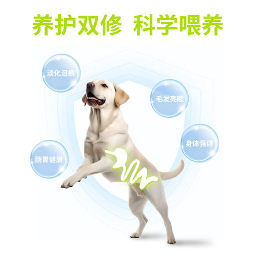 骨朴天然无谷狗粮10kg中大小型全犬期【让狗狗接近更天然的食材】 - 图3