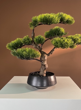仿真绿植圣丰手感保湿绿植套装