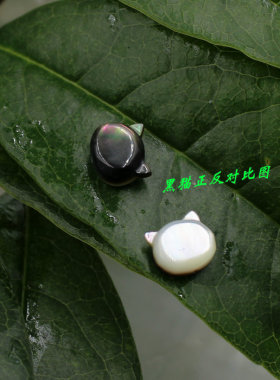 天然黑贝粉贝黄贝白蝶贝雕刻小萌货猫咪头横竖孔都有 diy贝壳配件