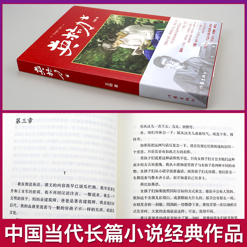 英格力士正版原著小说作者王刚讲述特殊年代里新疆男孩刘爱与英语的故事文学小说经典作品-图0