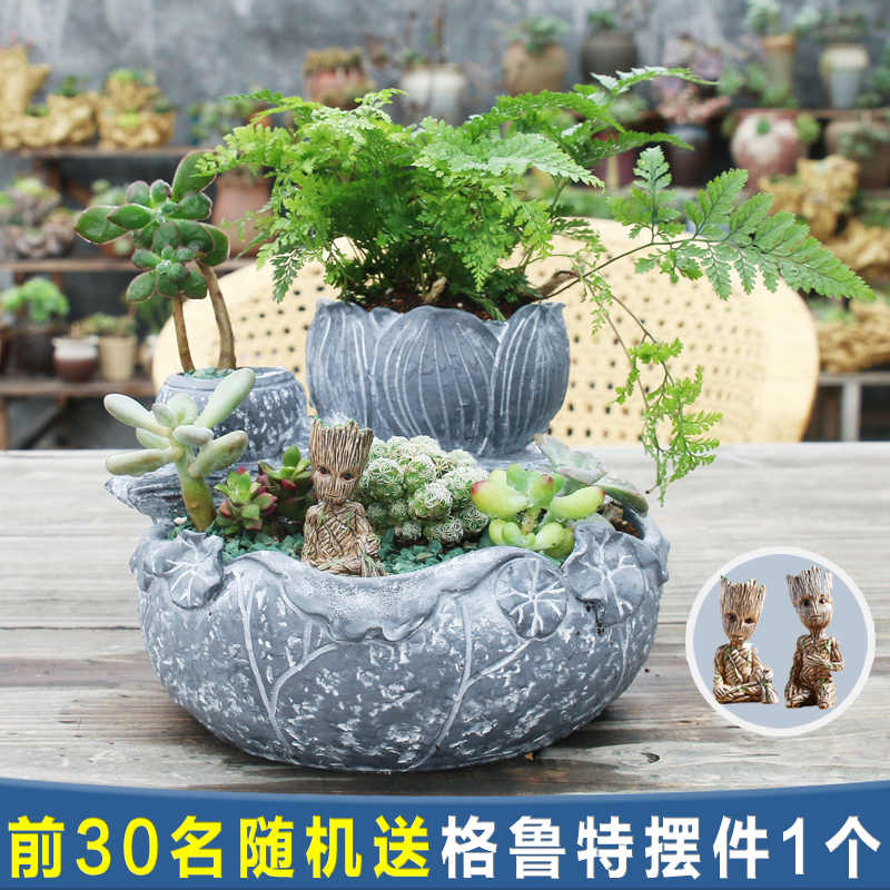 多肉植物容器 新人首单立减十元 2021年9月 淘宝海外