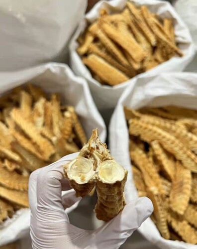 鳕鱼骨原色深海鱼骨干货好钙煲汤孕妇儿童营养食材北海特产500g - 图1