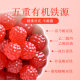 Hong Kong, China Upstairs Iron-Rich Gummies 240g (4g * 60 capsules) ອາຫານເສີມທາດເຫຼັກ (ໂດຍກົງ)