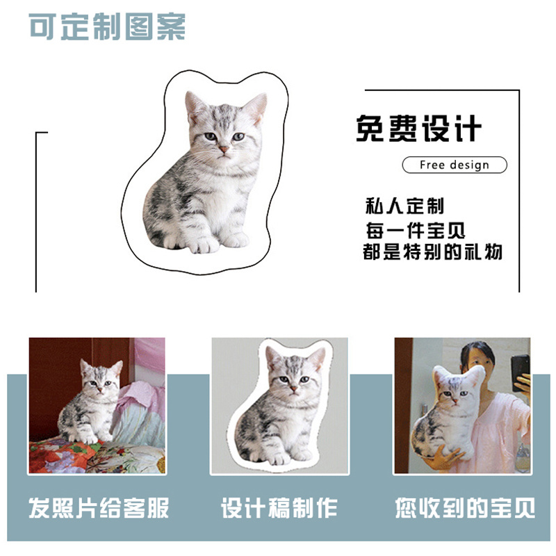 Wdiy人偶猫咪抱枕定制无白边玩偶无描边臭猫送朋友礼物自定义照片 - 图2