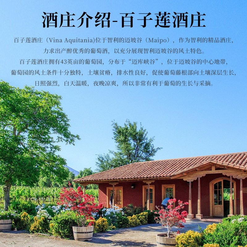 智利原瓶进口 百子莲酒庄璧海琉璃赤霞珠红葡萄酒商务送礼 赠礼盒,淘宝优惠券,粉丝福利购,淘宝优惠卷
