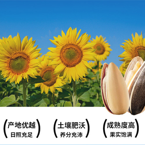 童年记瓜子原味瓜子250g五香味葵花籽瓜子独立当天拍当天炒当天发 - 图1