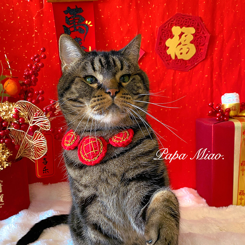 迎财神猫咪狗狗新年帽子过年小猫头套英短头饰宠物针织毛线装饰品,淘宝优惠券,粉丝福利购,淘宝优惠卷