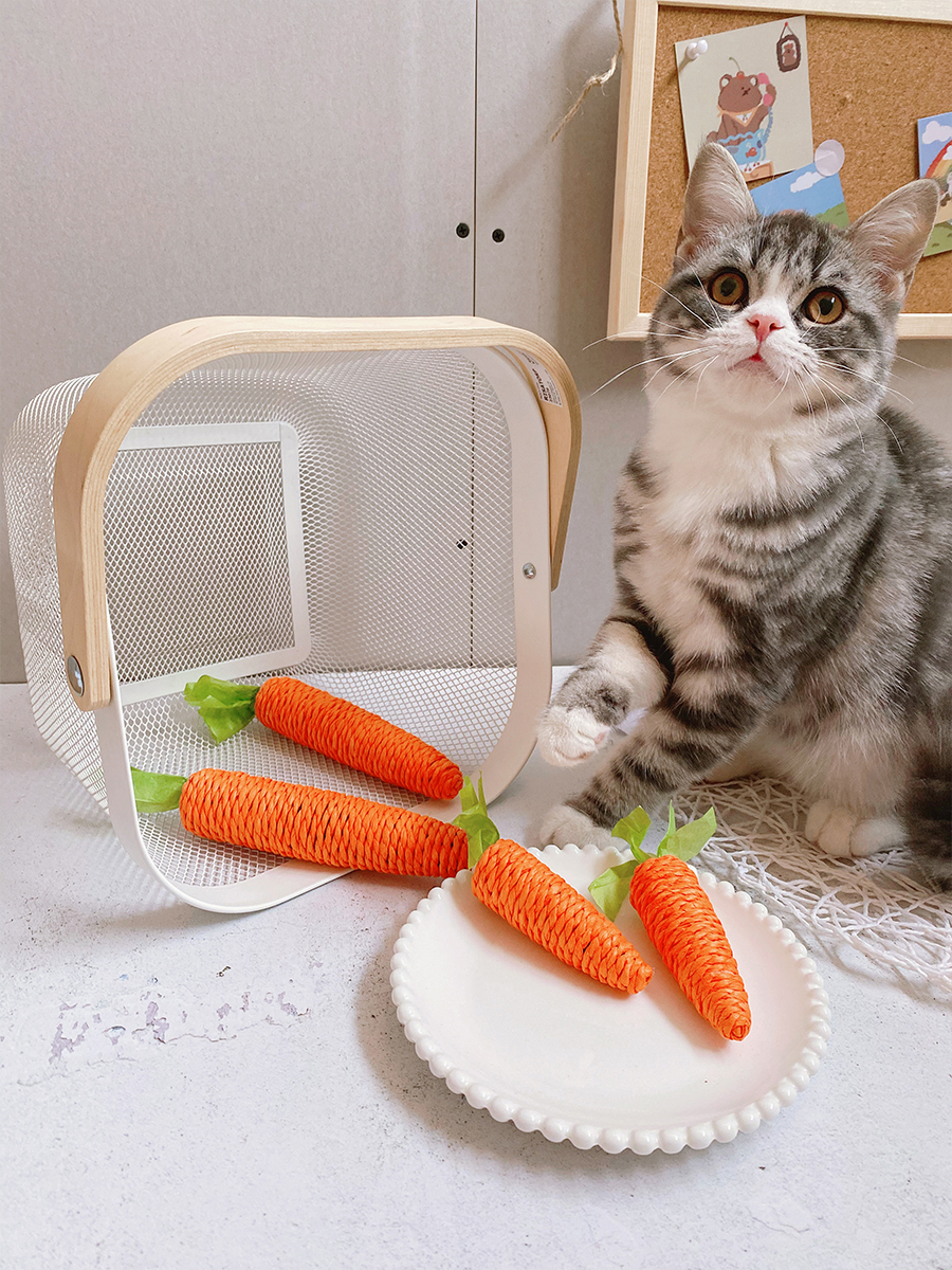 纸絮麻绳胡萝卜磨牙抓咬猫咪玩具胡萝卜猫玩具猫咪逗猫棒奶猫磨牙-图0