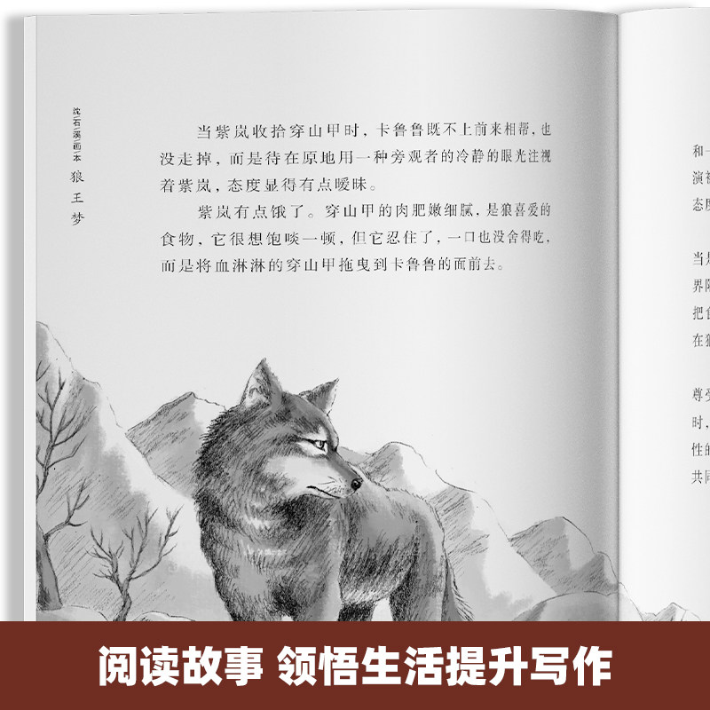 狼王梦沈石溪正版全套5册动物小说全集画本系列小学生三年级四五六年级漫画注音版小学课外阅读书籍文学读物儿童经典文学故事书籍_虎窝淘