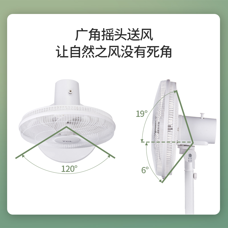 tcl小麦专卖店TCL电风扇家用台地两用定时摇头宿舍静音节能简约桌面落地小电扇3