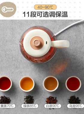 小熊煮茶器小型循环蒸汽养生壶
