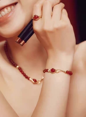本命年红玛瑙串珠蛇项链女款2024新款轻奢小众颈链