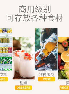 铭雪商用风冷冷饮啤酒保鲜柜