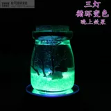 Новый маримо Happy Seawead Ball маленький горшок завода стеклянная стеклян