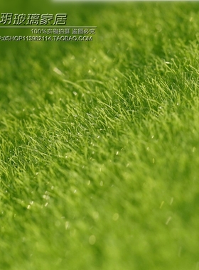 创意仿真苔藓石头微景观材料假草坪草地人工草皮DIY花园装饰配件
