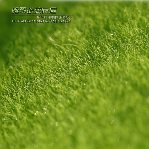 Креативный реалистичный декор из смолы, искусственный газон, декоративный аксессуар, DIY