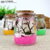 Новый маримо Happy Seawead Ball маленький горшок завода стеклянная стеклян