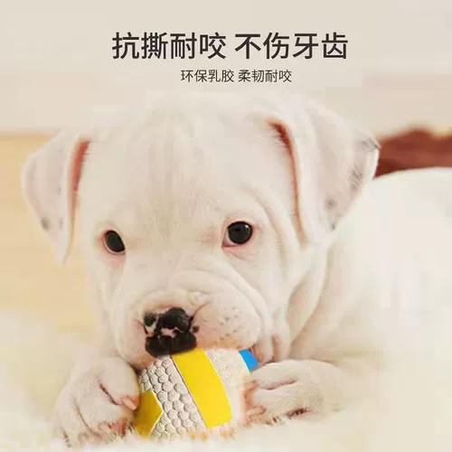 Собачья игрушка мяч вокальный щенок Тедди Тедди граница золотой ретривер Большие собаки моляр, кусая поставки домашних животных щенков