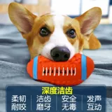 Собачья игрушка мяч вокальный щенок Тедди Тедди граница золотой ретривер Большие собаки моляр, кусая поставки домашних животных щенков