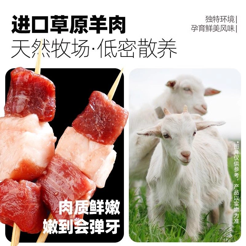 大希地羊肉串空气炸锅露营户外烧烤冷冻半成品食材免腌制牛油烤串,淘宝优惠券,粉丝福利购,淘宝优惠卷