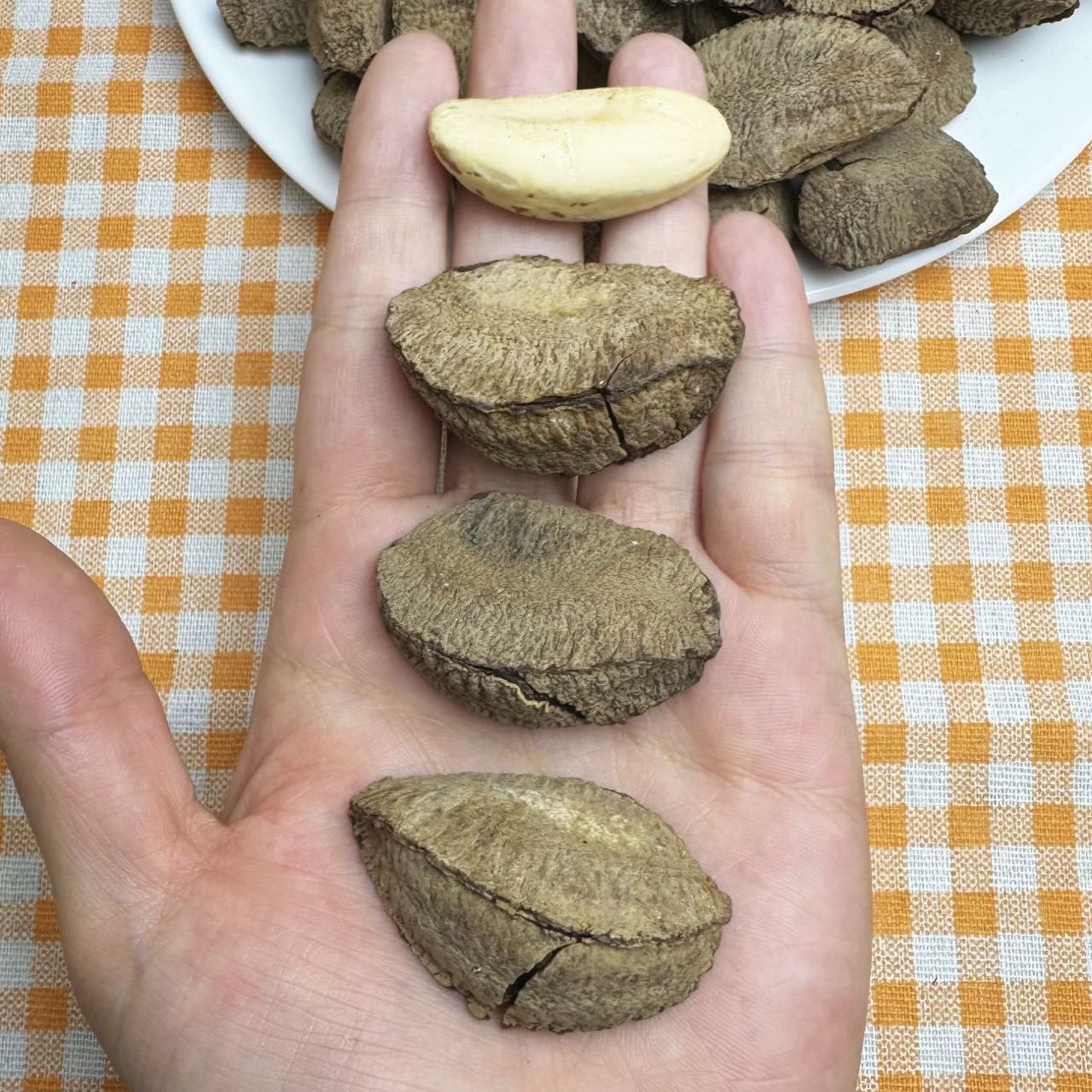 【新货】鲍鱼果新疆特产沙漠果坚果孕妇干果巴西果休闲零食500g - 图1