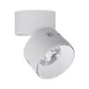 Plant fill light, punch-free growth spotlight, household indoor photosynthesis full spectrum LED downlight imitating the sun