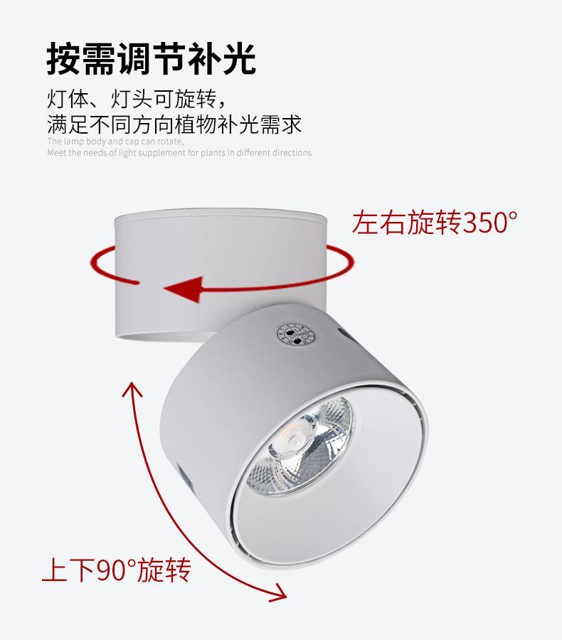 Plant fill light, punch-free growth spotlight, household indoor photosynthesis full spectrum LED downlight imitating the sun
