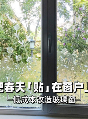 15年老品牌-高品质防窥贴膜