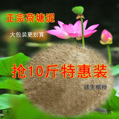 pondmudpondsludgeboowllotuswaterlilypecialpondsludgebigbagf