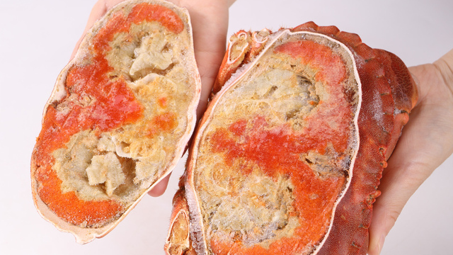 沃派 英国面包蟹鲜活海鲜水产螃蟹