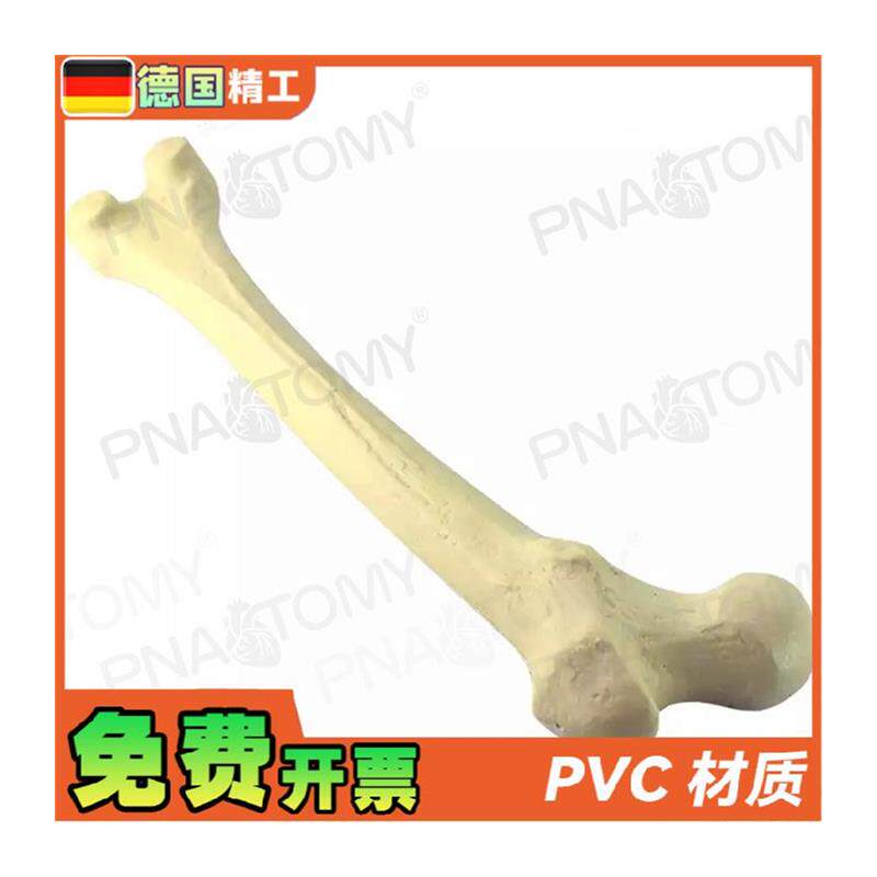 德国】1比1仿真骨k手术实操股骨头骨科pfna人工合成创伤骨科操作 - 图3