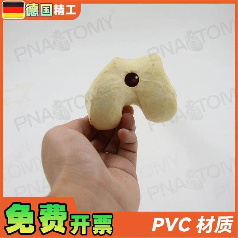 德国】1比1仿真骨k手术实操股骨头骨科pfna人工合成创伤骨科操作 - 图0
