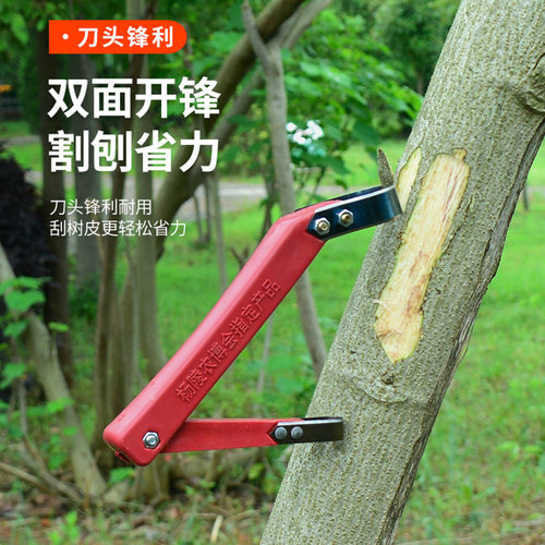 园艺工具果树苗木刮刀病虫害芽接刀嫁接削木神器树皮专用农用园林 - 图2