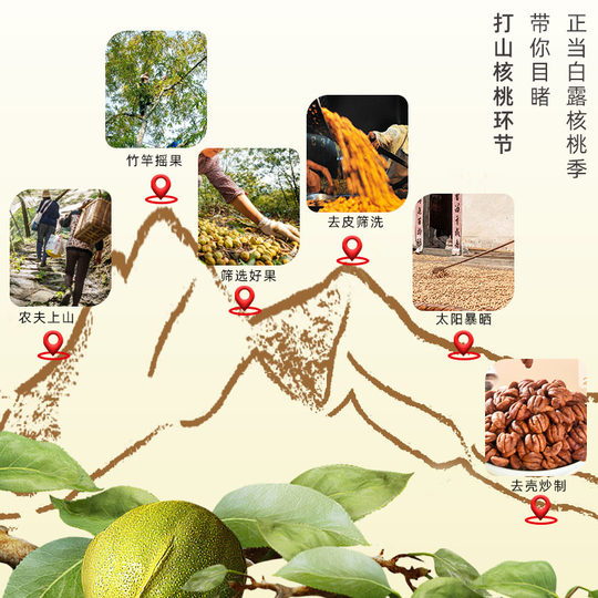 比比妙2025年新货临安山核桃仁小核桃仁肉3罐儿童孕妇零食坚果仁