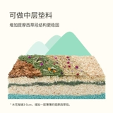 Niteangel ait топольский дерево бритье бритье золото шелковое медведь без пыли для зимнего пейзажа специальная куппа