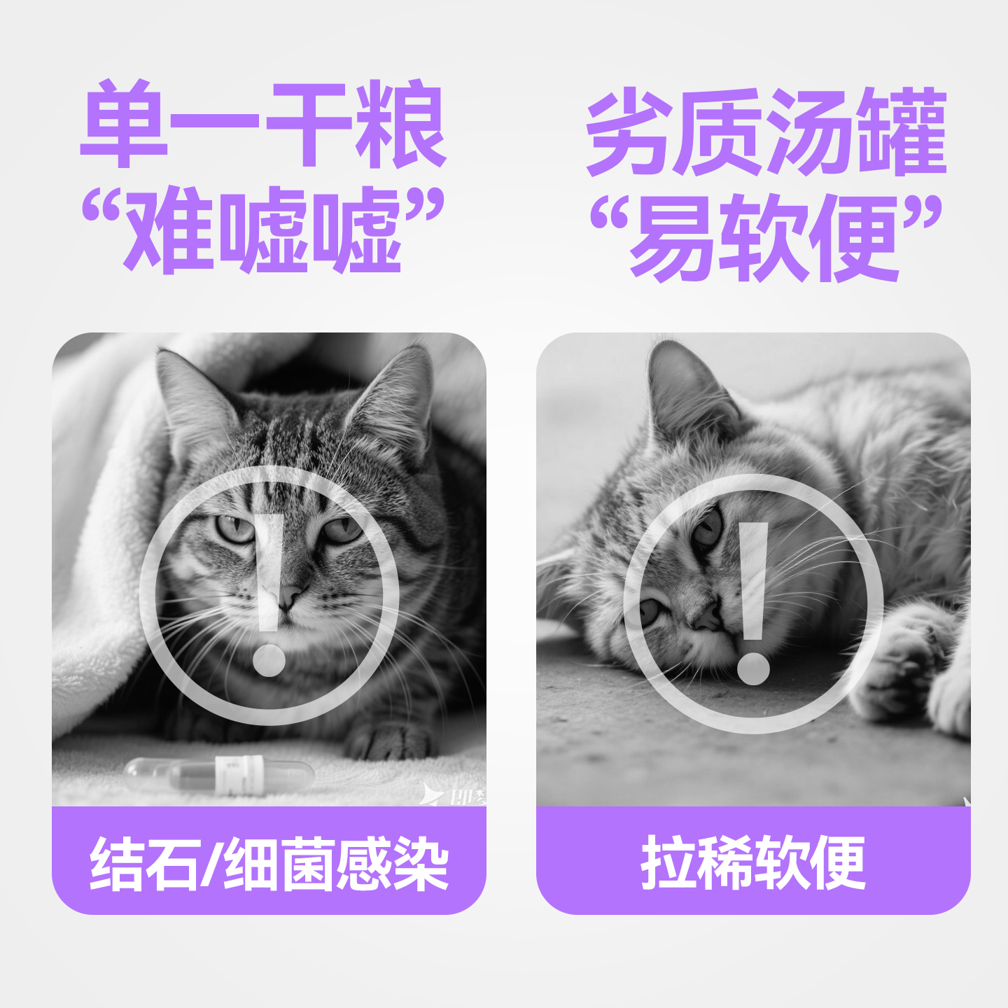 朗仕猫罐头零食罐幼猫成猫汤包猫咪鲜肉补水湿粮奶糕主食24罐整箱