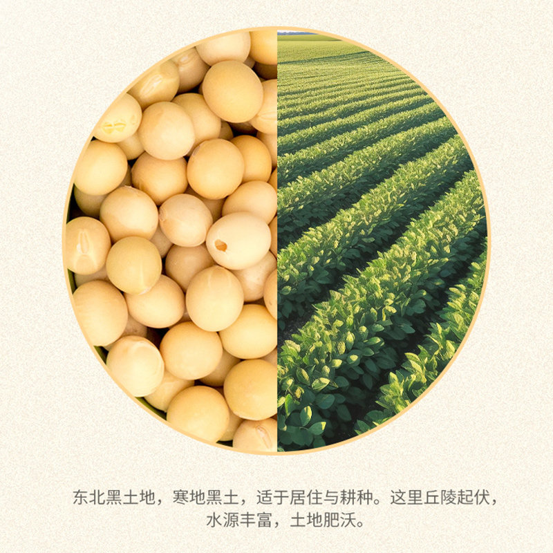 维维豆奶瓶装整箱植物奶蛋白饮料即饮品豆奶粉正品官方旗舰店同款,淘宝优惠券,粉丝福利购,淘宝优惠卷