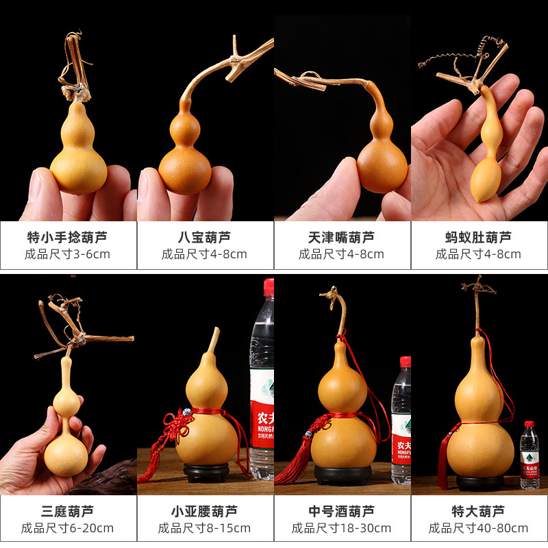 葫芦种苗把玩盆栽文玩葫芦籽种葫芦籽手捻小葫芦种子大全特大巨型,淘宝优惠券,粉丝福利购,淘宝优惠卷