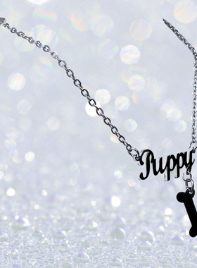 【Cleve】专属Puppy骨头原创项链小众钛钢锁骨链（英语可定制）