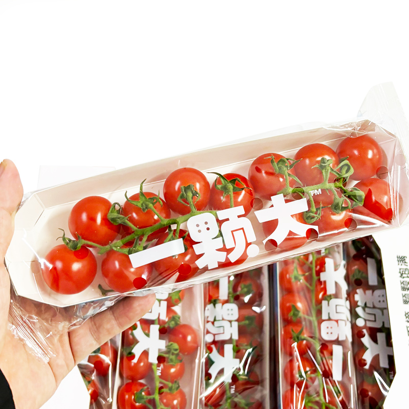 一颗大串收番茄小西红柿千禧圣女果小番茄新鲜自然成熟顺丰包邮-图0