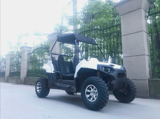 Large four-wheel off-road karting mountain farmer's car, two-person steering wheel, all-terrain car, motorcycle sports car, small whirlwind