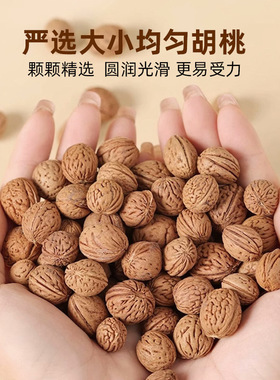 健身拍打袋养生按摩胡桃捶背袋经络甩袋拍背神器全身经络疏通器