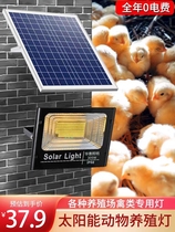 Farm Solar Lamp Super Bright Yellow Light Chicken Shack Chicken Shed Pig Farm Lighting Energy-saving Lamps Outdoor Waterproof View Light