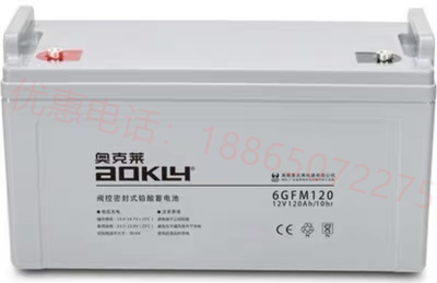 蓄电池6-GFM 12V100AH7A12A20A24A38A40A50A65A120A150A200-图3