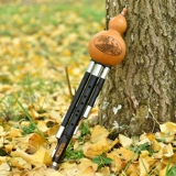 Профессиональные музыкальные инструменты для школьников, подходит для начинающих, официальный флагманский магазин