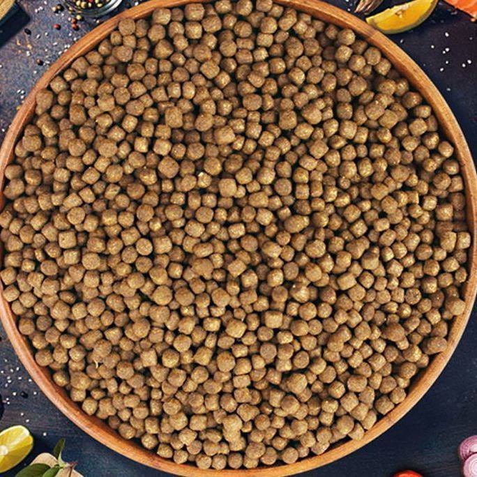 龟粮乌龟饲料巴西龟鳄龟水龟草龟小乌龟专用粮幼龟粮鱼干虾干粮食,淘宝优惠券,粉丝福利购,淘宝优惠卷