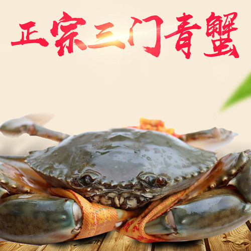 三门青蟹 野生鲜活特大 超大非黄油蟹 红鲟猷蠓 海鲜 3斤红母膏蟹 - 图2
